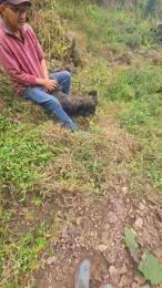 jo23_xxx webcam model stream image