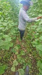 jo23_xxx webcam model stream image