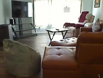 perfecto1957 webcam chaturbate model stream image