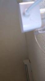 Antonio4964 webcam model stream image