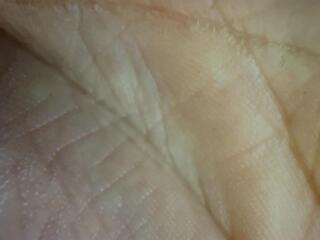 Frank Wesley webcam model stream image