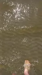 Lukemo webcam model stream image