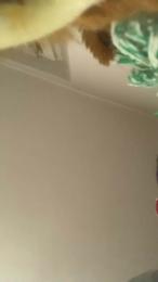 Antonio93_hot webcam model stream image