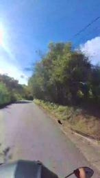 Clark_Jhonz webcam cam4 model stream image