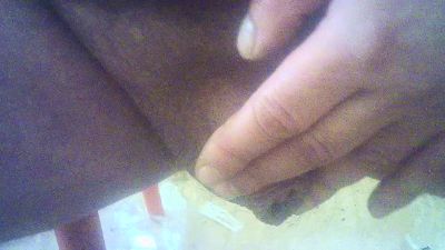 antoniconexion webcam model stream image