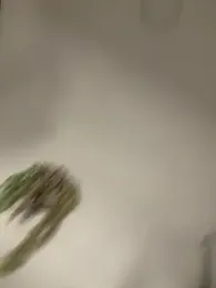 valeria2019hot webcam model stream image