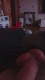 Thunenito webcam model stream image