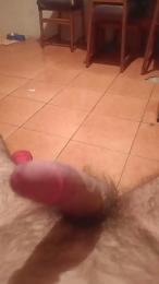 Felinoshere webcam model stream image