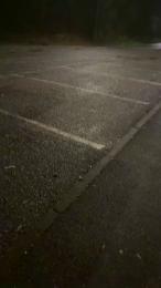 Nolino20 webcam model stream image