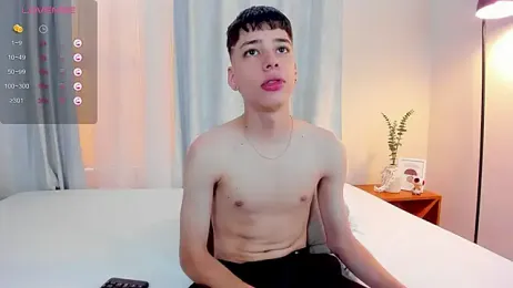 oblivion_deku webcam model stream image