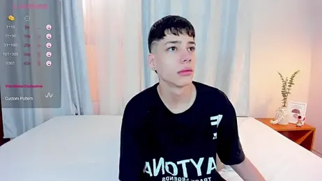 oblivion_deku webcam model stream image