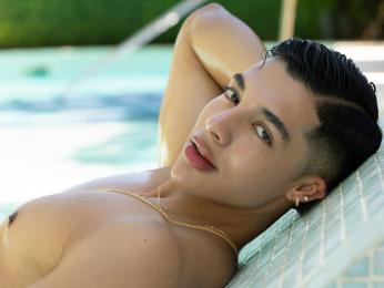 TroyeWill webcam livejasmin model stream image