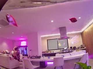 voyeurcam-casa-salsa-fishtank webcam model stream image