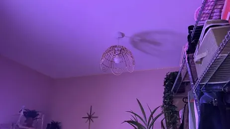 _vixenp webcam model stream image