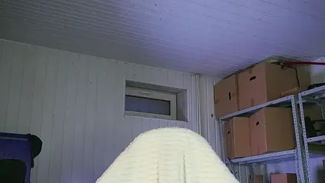 dustyn_fox webcam model stream image