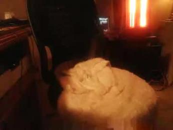 dannyb618 webcam model stream image