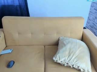 martin-lows webcam model stream image