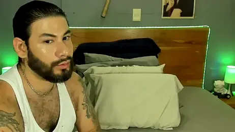 Prometeo-grizzly webcam model stream image