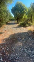 Laoquedad webcam model stream image