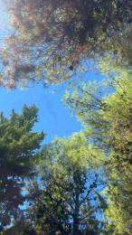 Laoquedad webcam cam4 model stream image