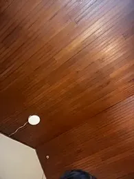 Miss_ary webcam model stream image