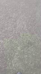 sam_cam_fun webcam model stream image