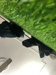 John_desihunk webcam model stream image