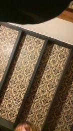 saraangelafern1 webcam model stream image