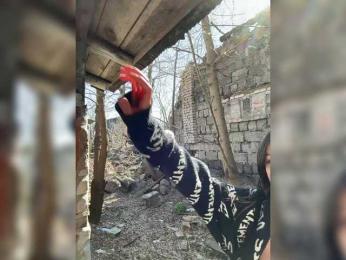 Pix1e webcam model stream image