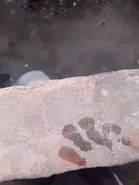 haryanaboypanipat12 webcam model stream image