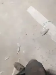 haryanaboypanipat12 webcam model stream image