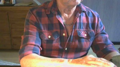 Longdorn webcam model stream image