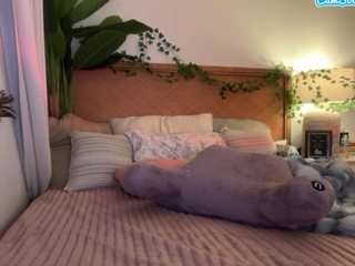 thelittlenative webcam model stream image