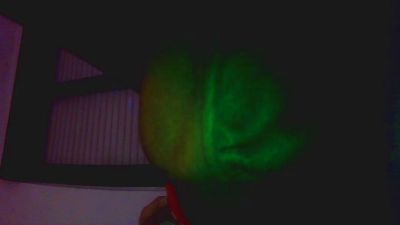 bulldotatosexy webcam model stream image