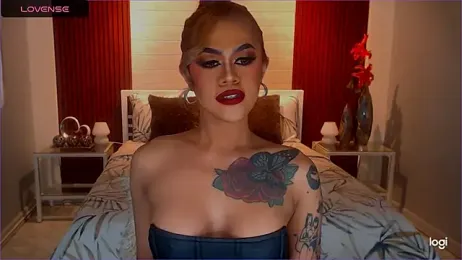 StellaStrong30 webcam model stream image