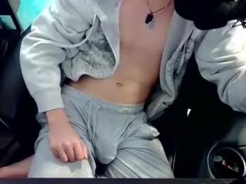 skrogdog webcam model stream image