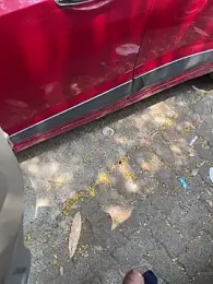 Dakku_69 webcam model stream image