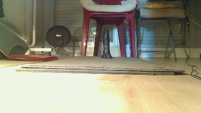 GaelLaurent webcam model stream image