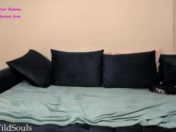 vibex2 webcam model stream image