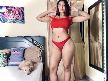 AriStark webcam model stream image