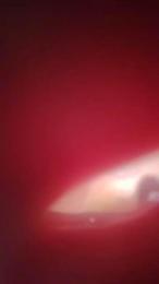 Lolipop_lo webcam model stream image