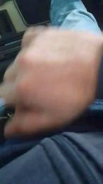 Piseloduro webcam model stream image