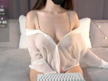 foosteer webcam model stream image