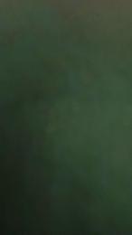 renatoalba8788 webcam model stream image