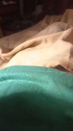 renatoalba8788 webcam model stream image