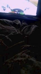 silvanusky webcam model stream image