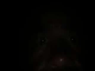 skgolddeere28 webcam model stream image