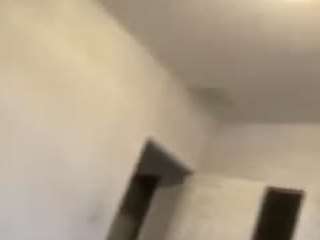 hendog114 webcam model stream image