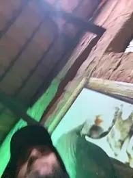 Dasul_ webcam model stream image