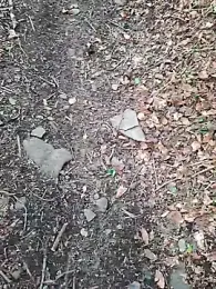 FreezingTie850 webcam model stream image